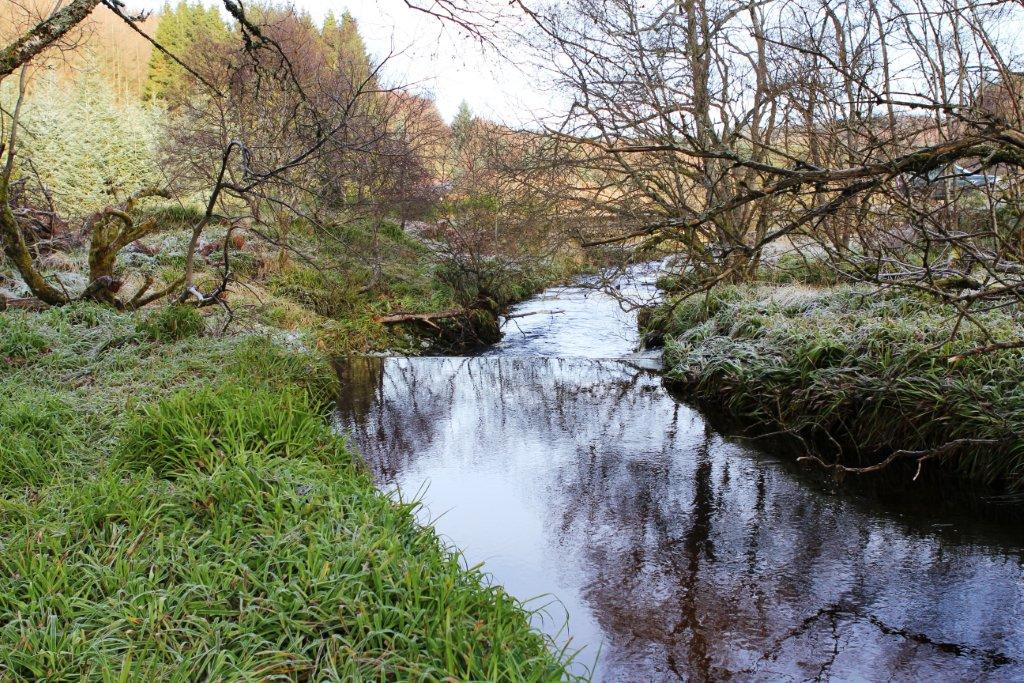 Lower Dam Dykes